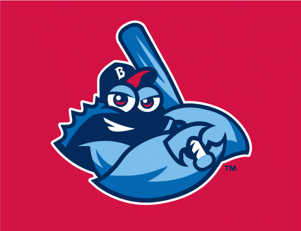 Lakewood BlueClaws 2010-Pres Cap Logo decal supplier